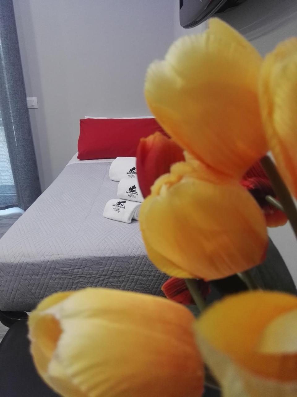 B&B Da Lillo Frosinone megye Kültér fotó